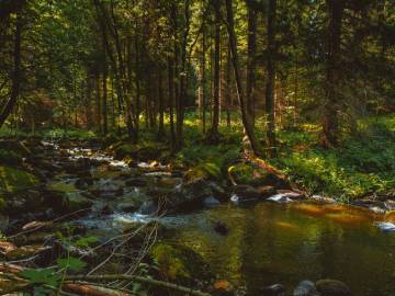 K rytířské škole a Stará řeka