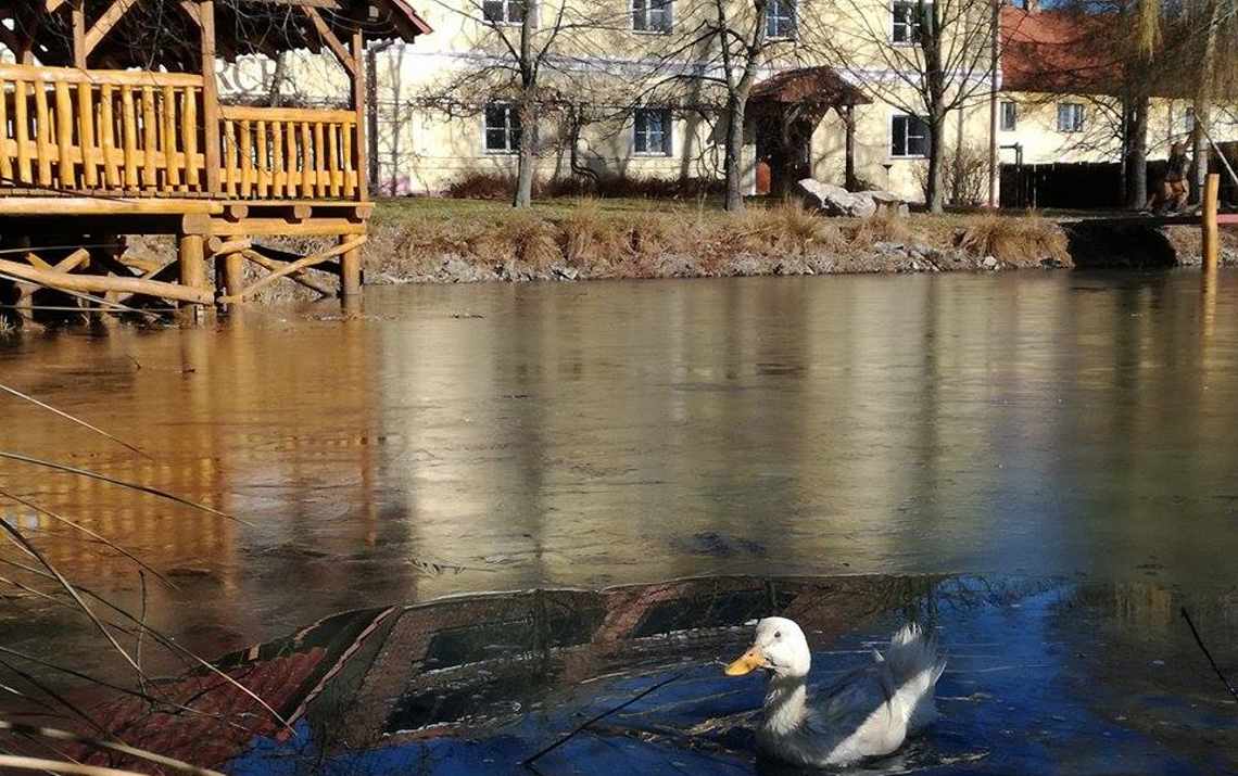 Otevíráme už 17. března 2017