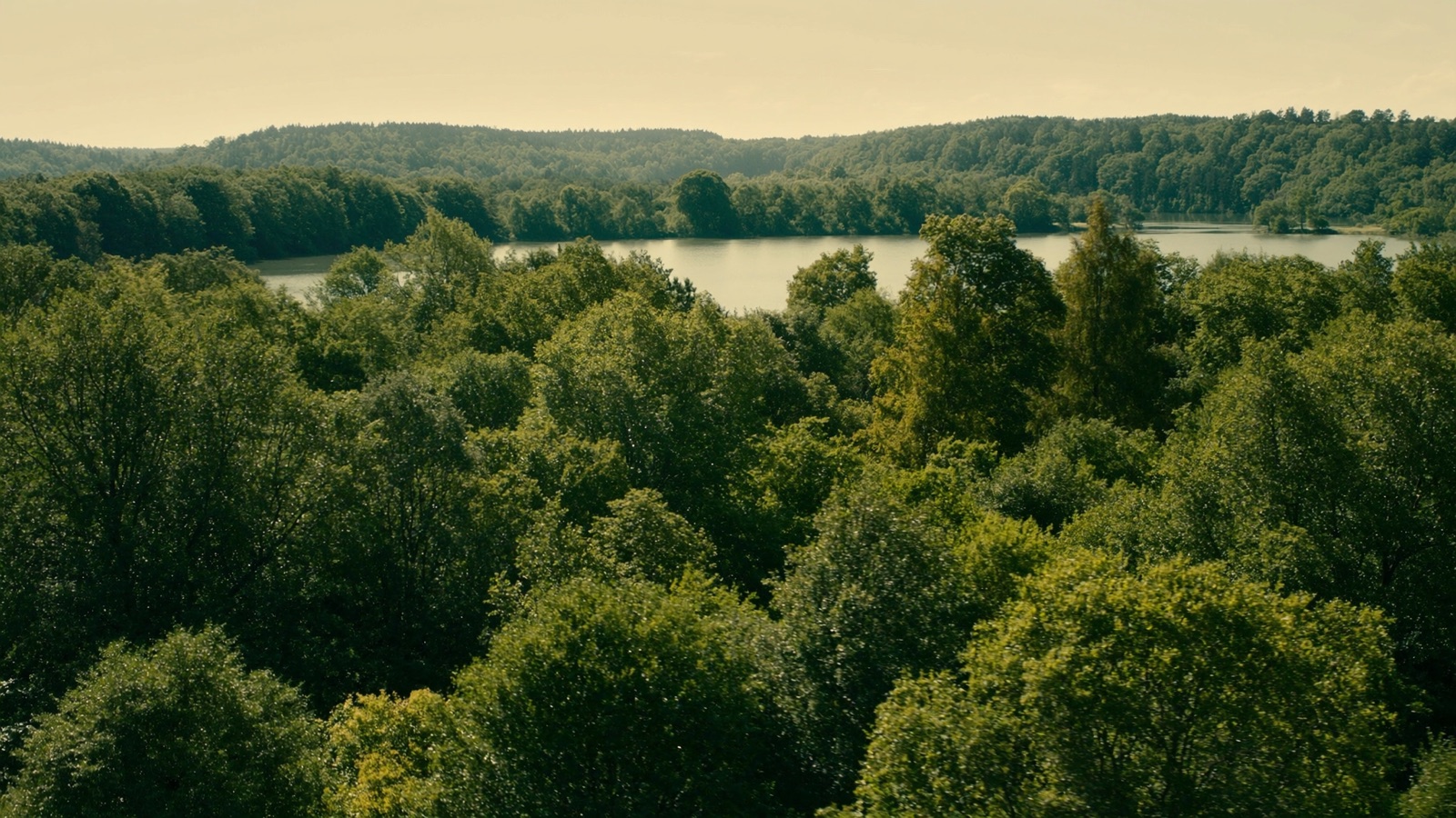 Stezka korunami stromů Lipno