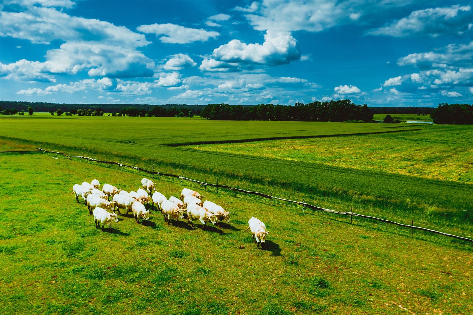 Letecký pohled na farmu a penzion Dvorce