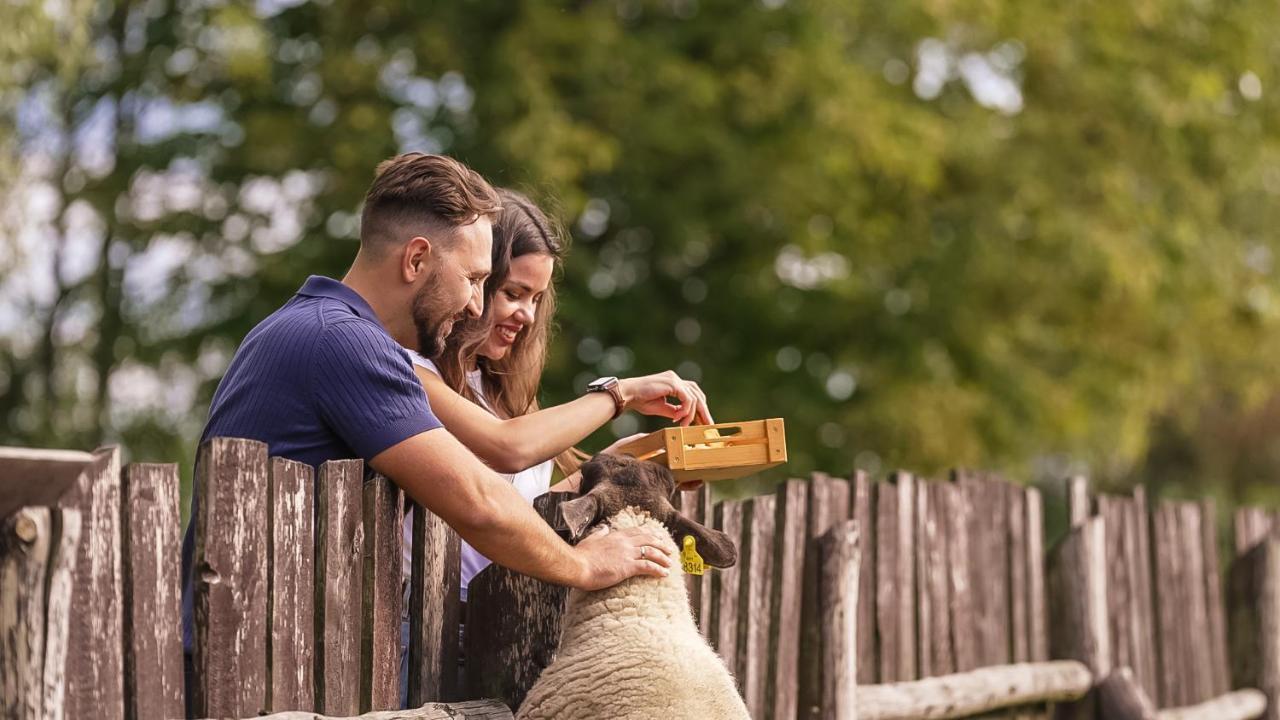 Dovolená s dětmi v Jižních Čechách